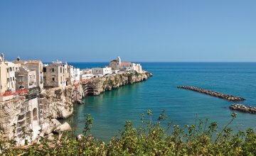 Blick auf Vieste © Mi.Ti.-shutterstock.com/2013